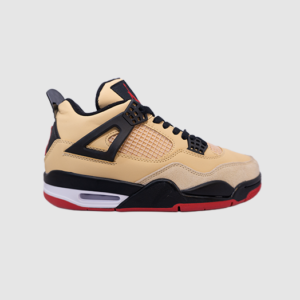 Jordan Retro 4 Pizza