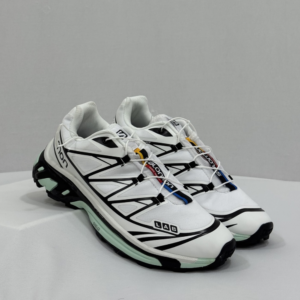 Salomon XT-6 White Icy