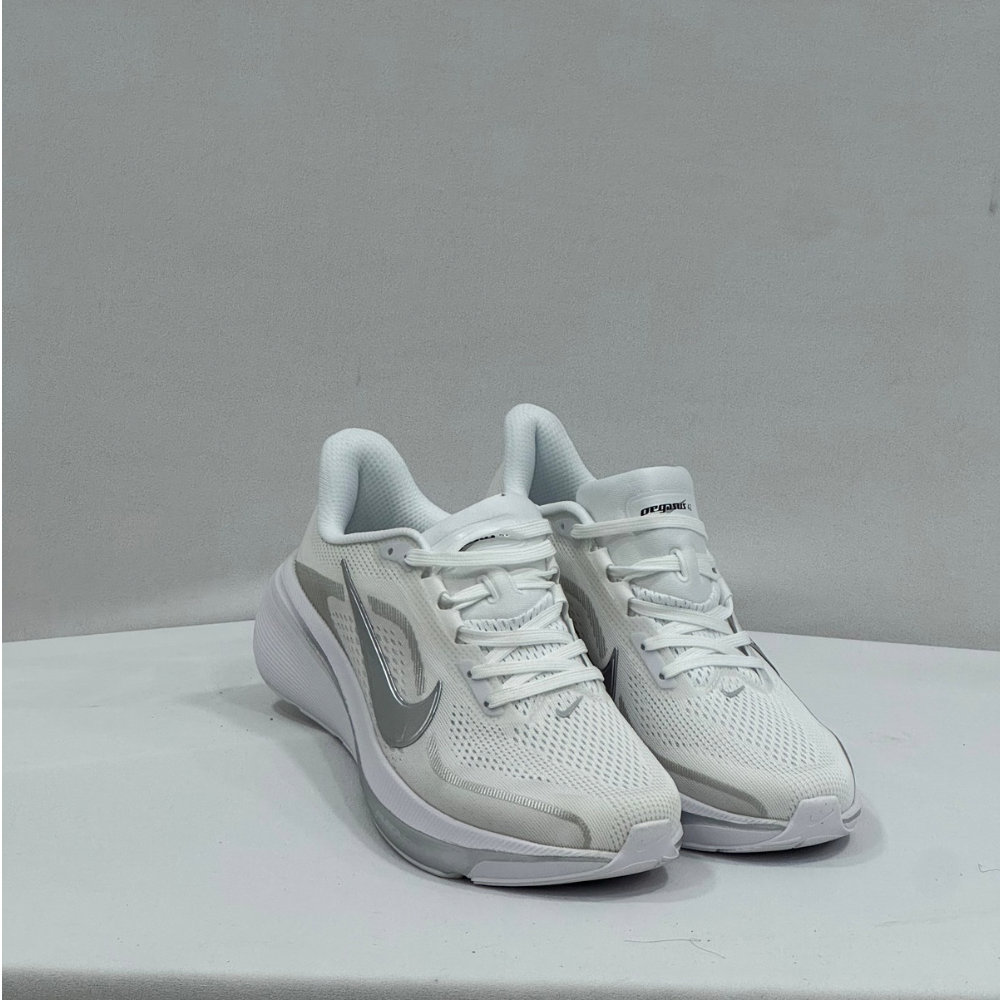 Zoom Pegasus